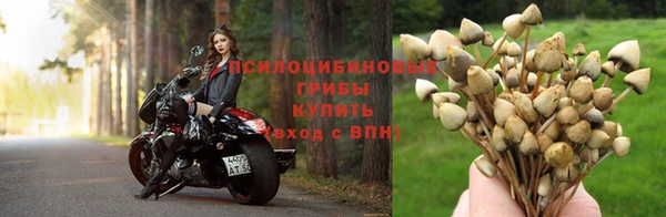 мдпв Беломорск