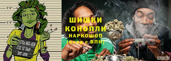 ГАЛЛЮЦИНОГЕННЫЕ ГРИБЫ Дегтярск